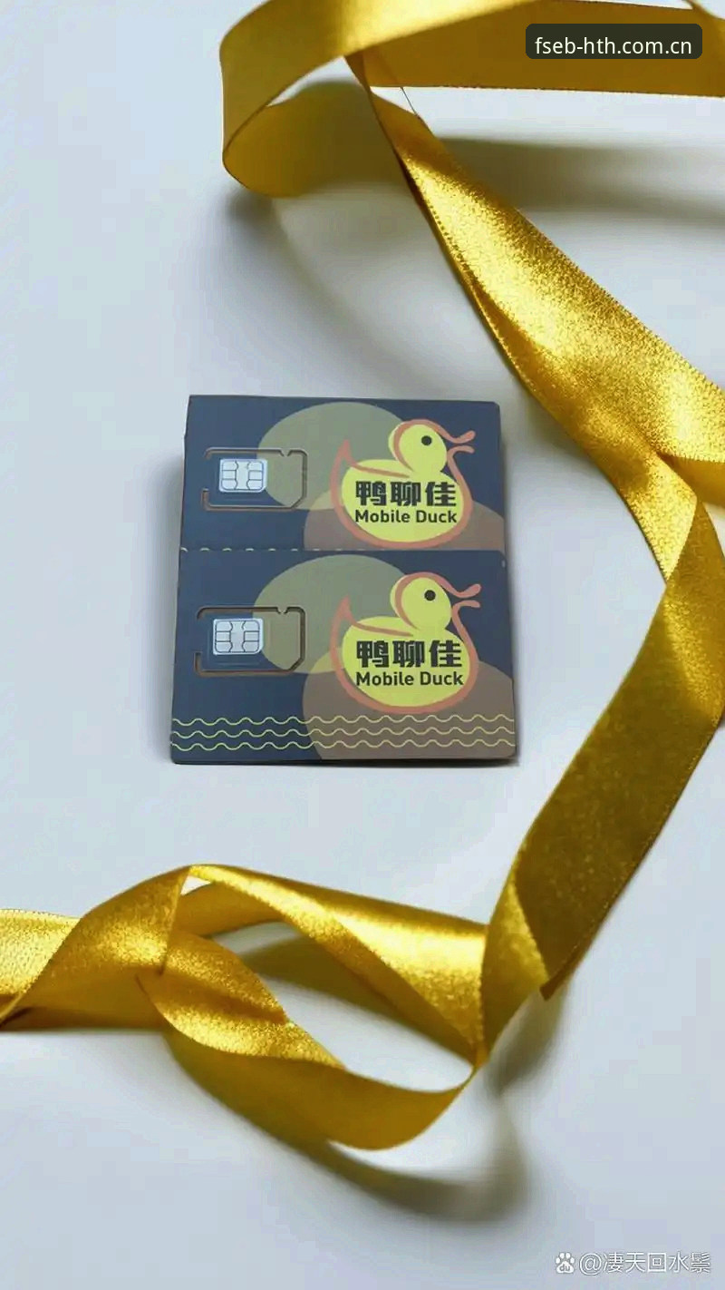 华体会登录不再卡壳：2026新版与FSEB纪念版实用指南